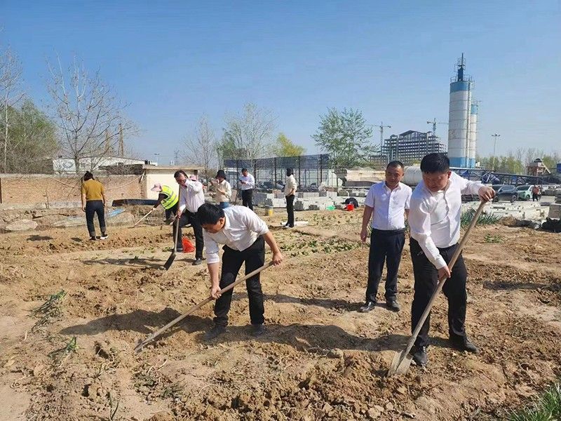 “春播添新綠，不負好春光”-城建新型材料公司黨支部開展主體黨日活動